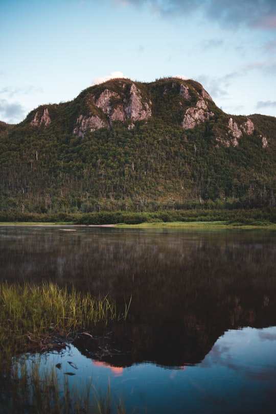 green and brown mountain beside lake during daytime in Newfoundland Canada