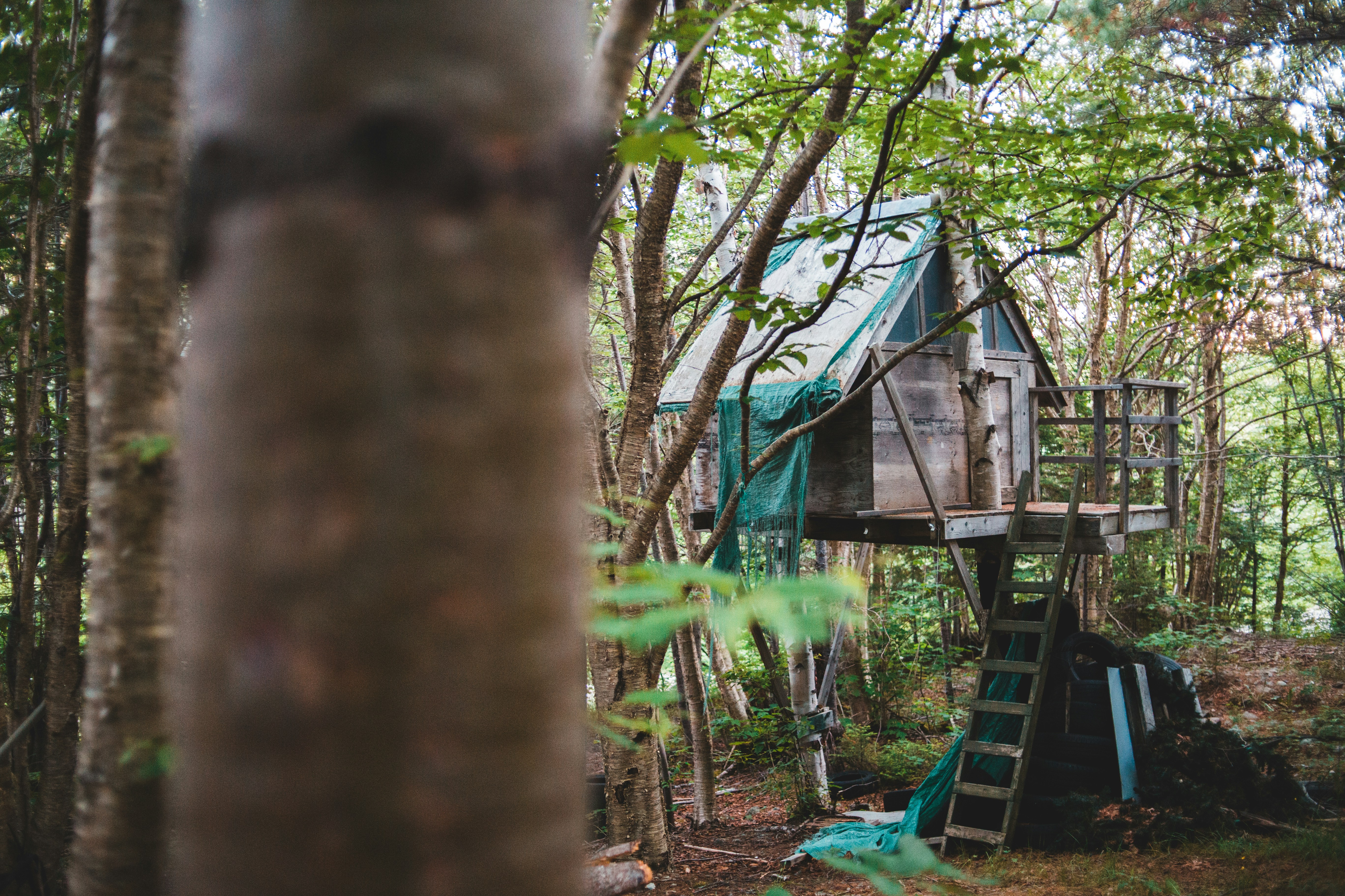 Photo by introspectivedsgn