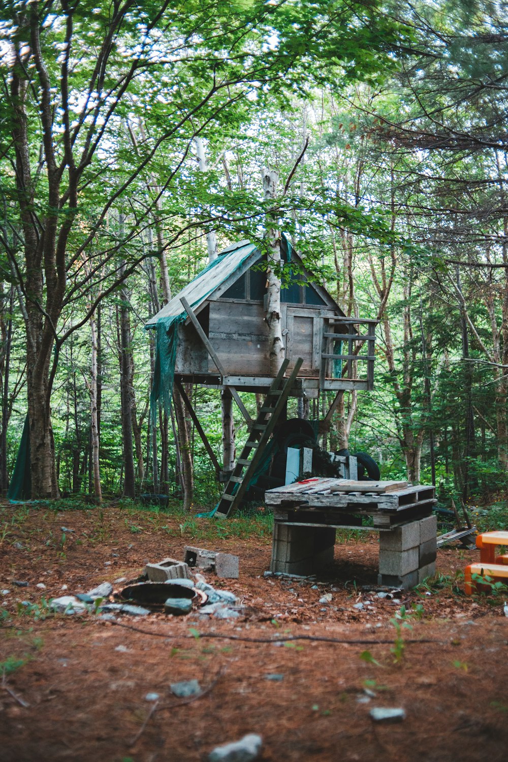 brown wooden house in the woods