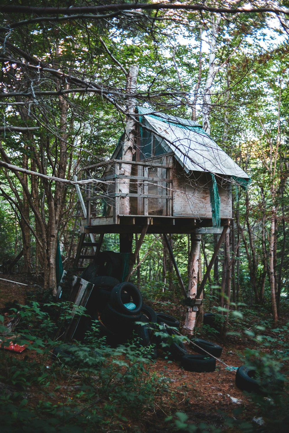 brown wooden house in the woods