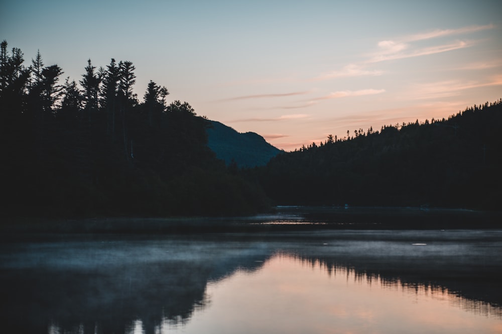 silhouette of trees near body of water during sunset