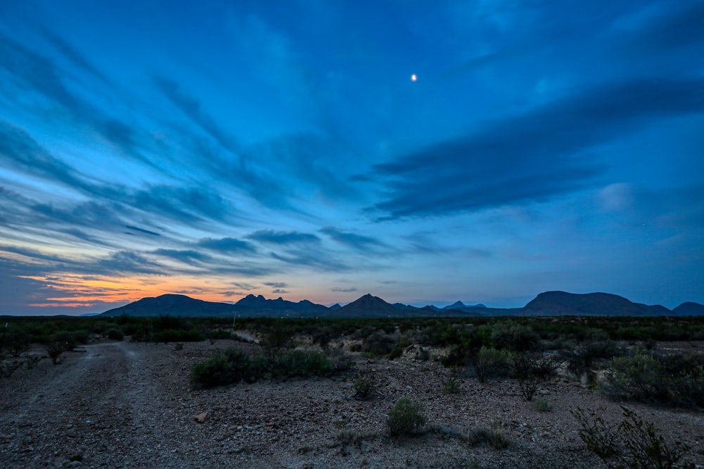 Campo de hierba verde bajo el cielo azul durante el día