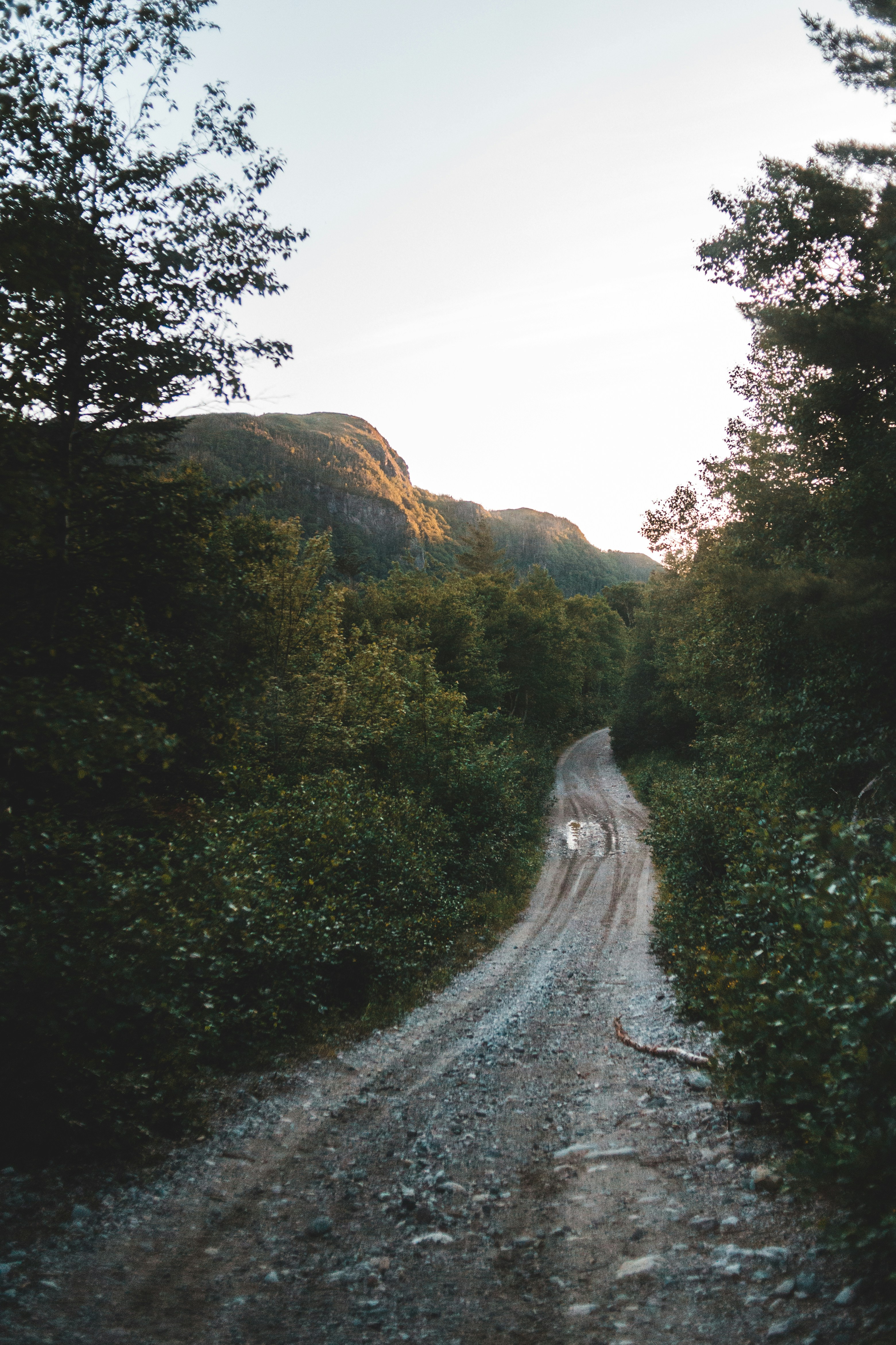 Dirt Road Pictures Download Free Images On Unsplash