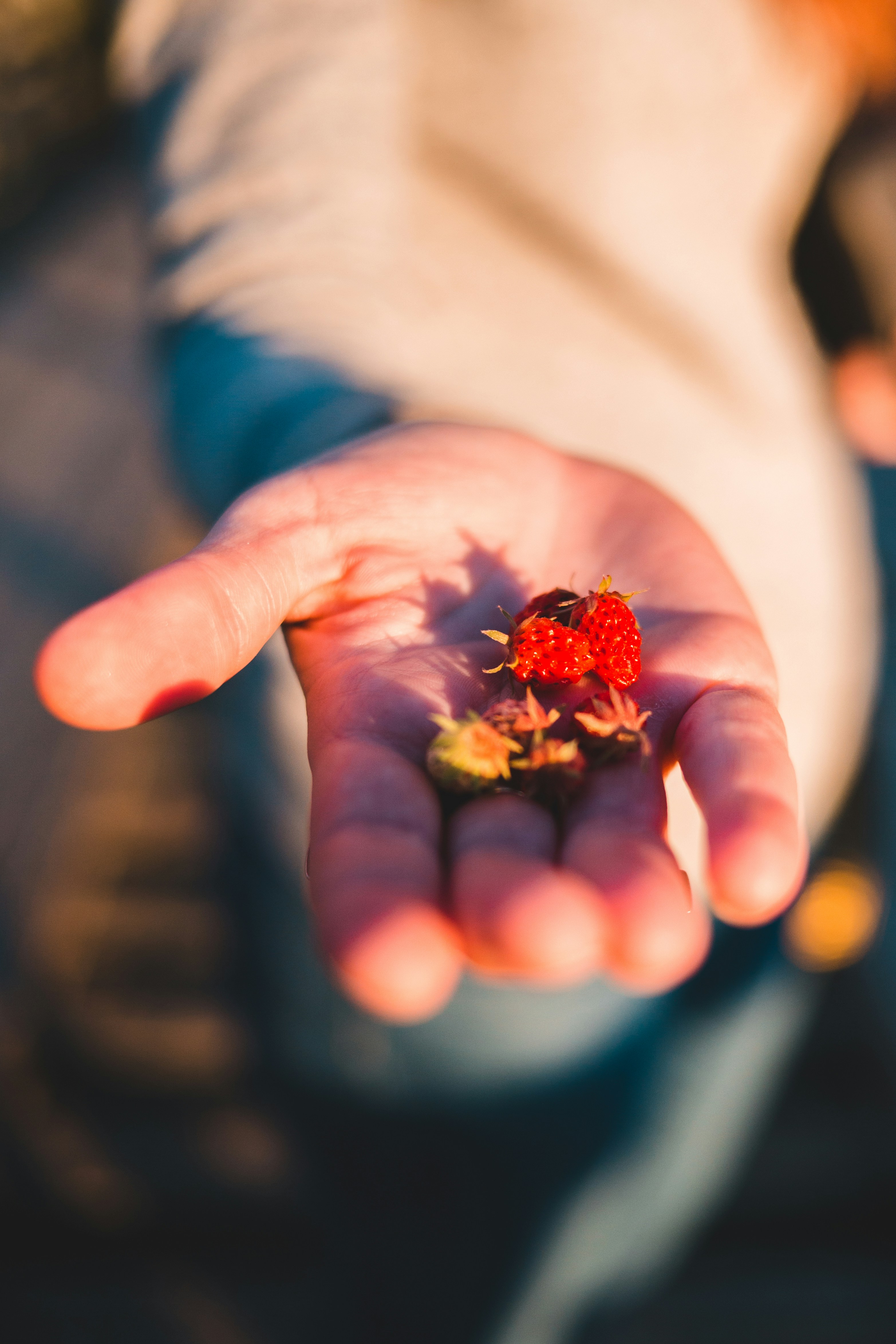 Photo by introspectivedsgn