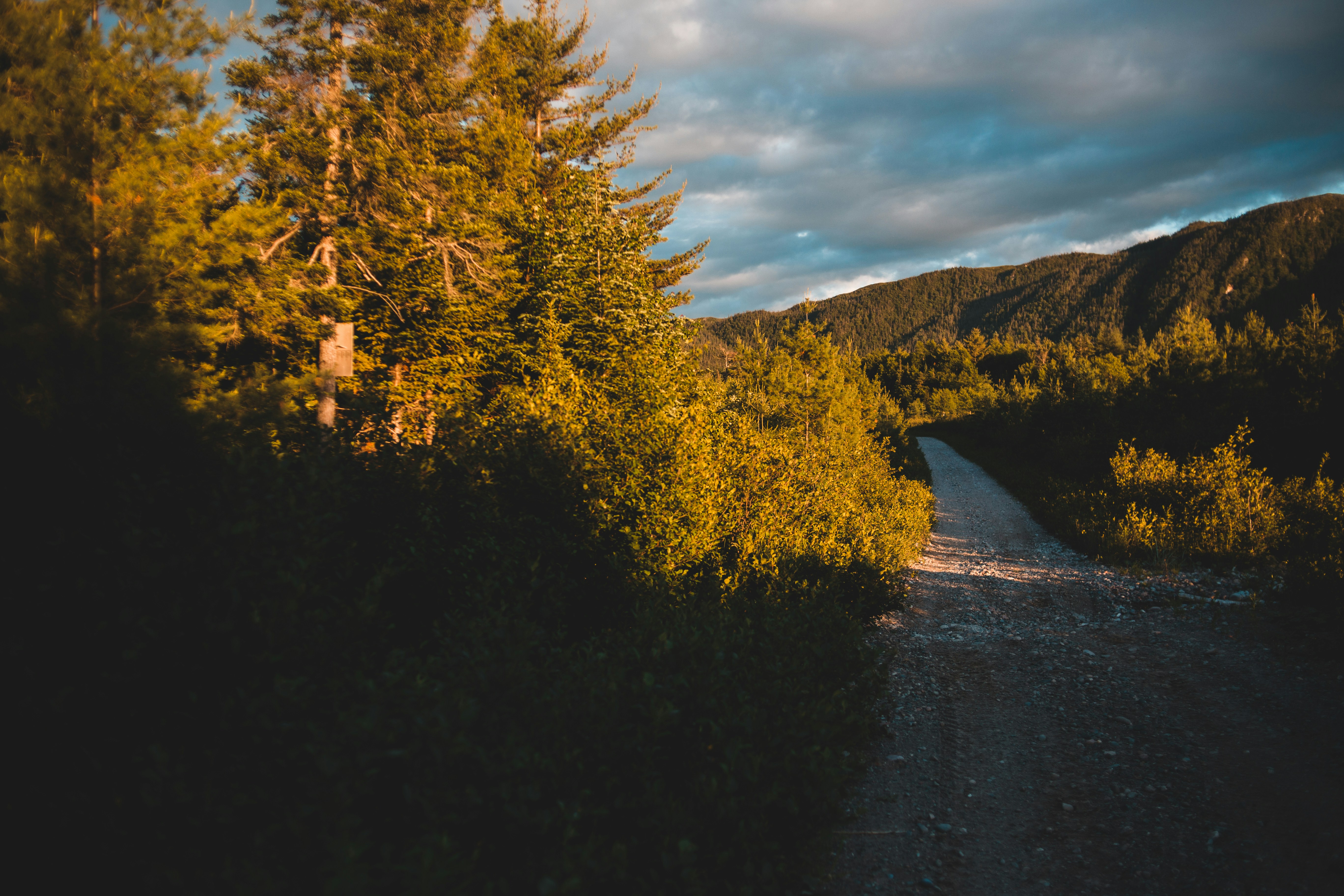 Photo by introspectivedsgn