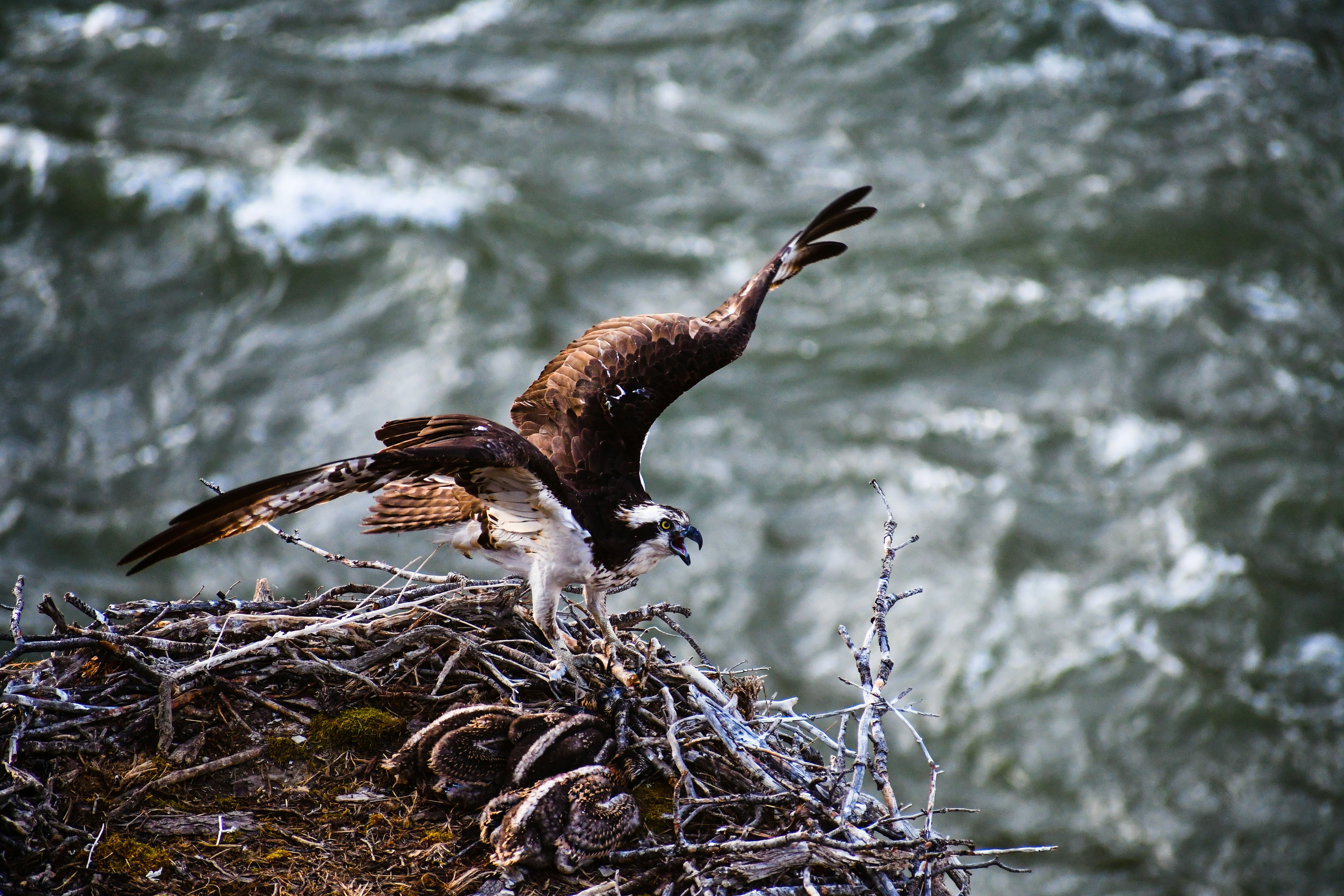 Photo by jackcharles