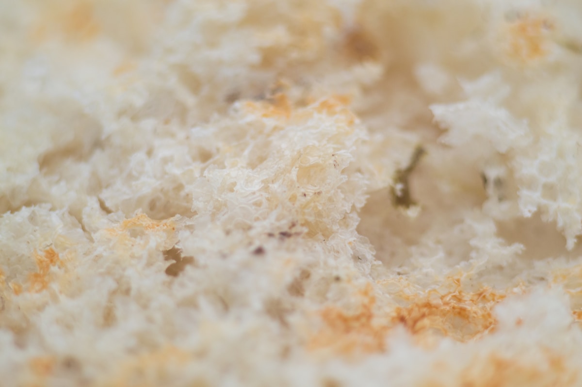 Is It Safe to Cut Mold Off Food and Eat the Rest?
