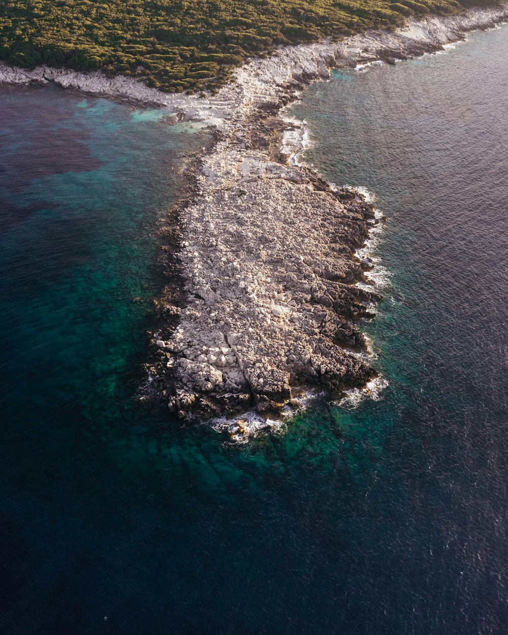 aerial view of green and brown island