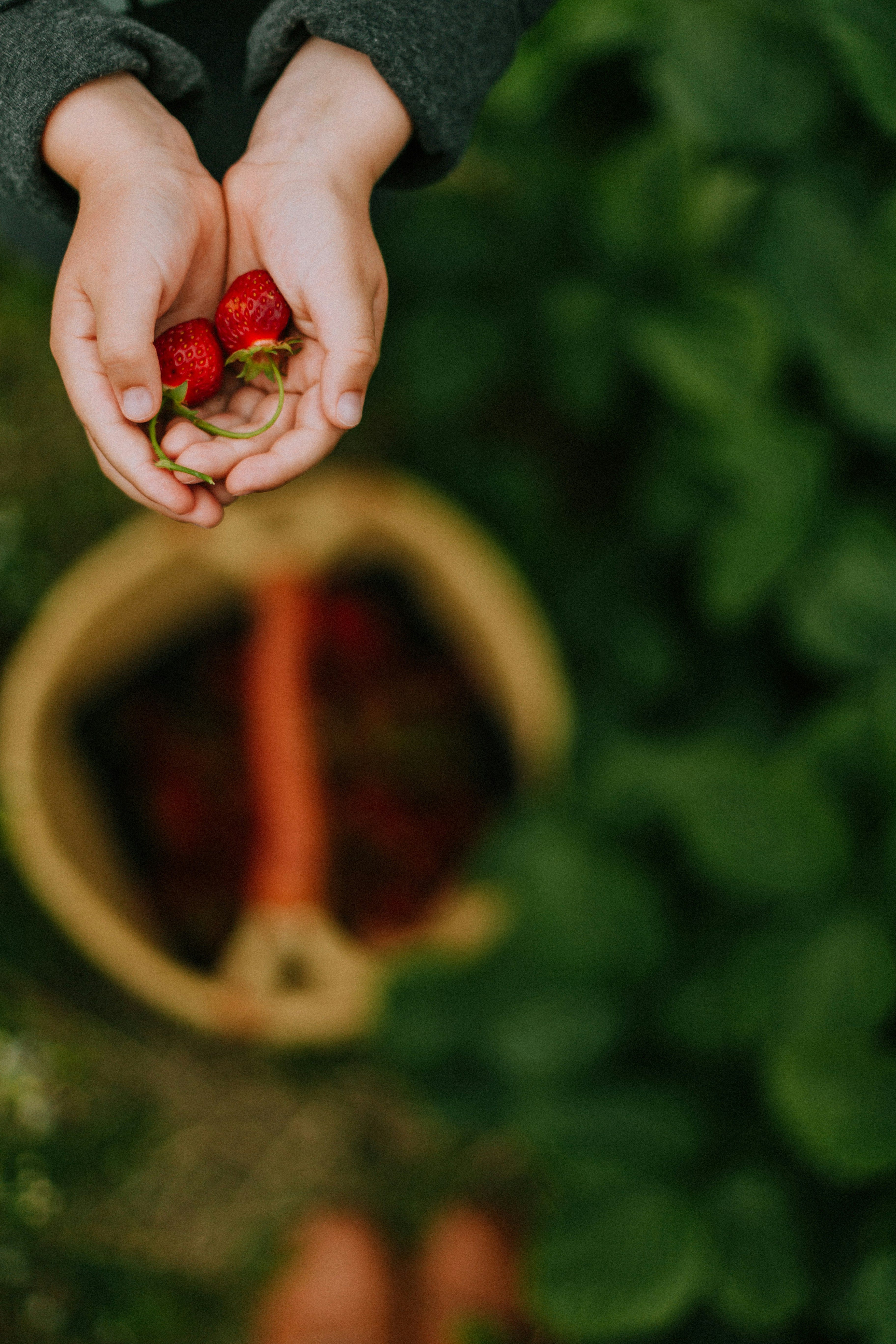 Photo by daiga_ellaby