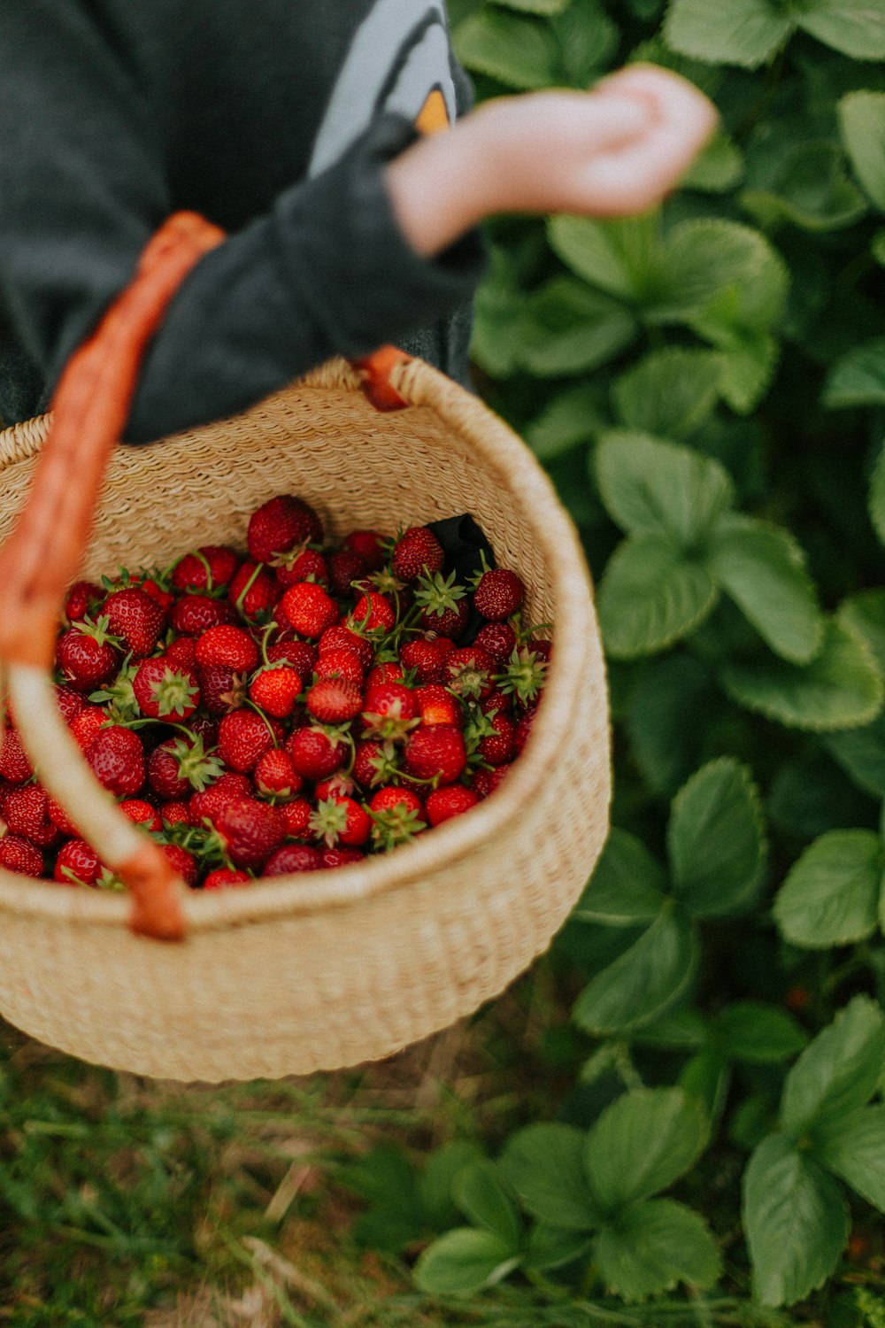 rote Erdbeeren in braun geflochtenem Korb