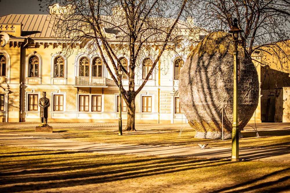 bare trees near white concrete building during daytime