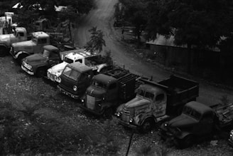 A collection of old, rusted trucks parked in a gravel area surrounded by trees. The vehicles are lined up in various states of disrepair, with chipped paint and weathered surfaces. The scene conveys a sense of abandonment and history, with the rugged dirt path leading into the background.