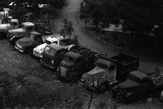 A collection of old, rusted trucks parked in a gravel area surrounded by trees. The vehicles are lined up in various states of disrepair, with chipped paint and weathered surfaces. The scene conveys a sense of abandonment and history, with the rugged dirt path leading into the background.
