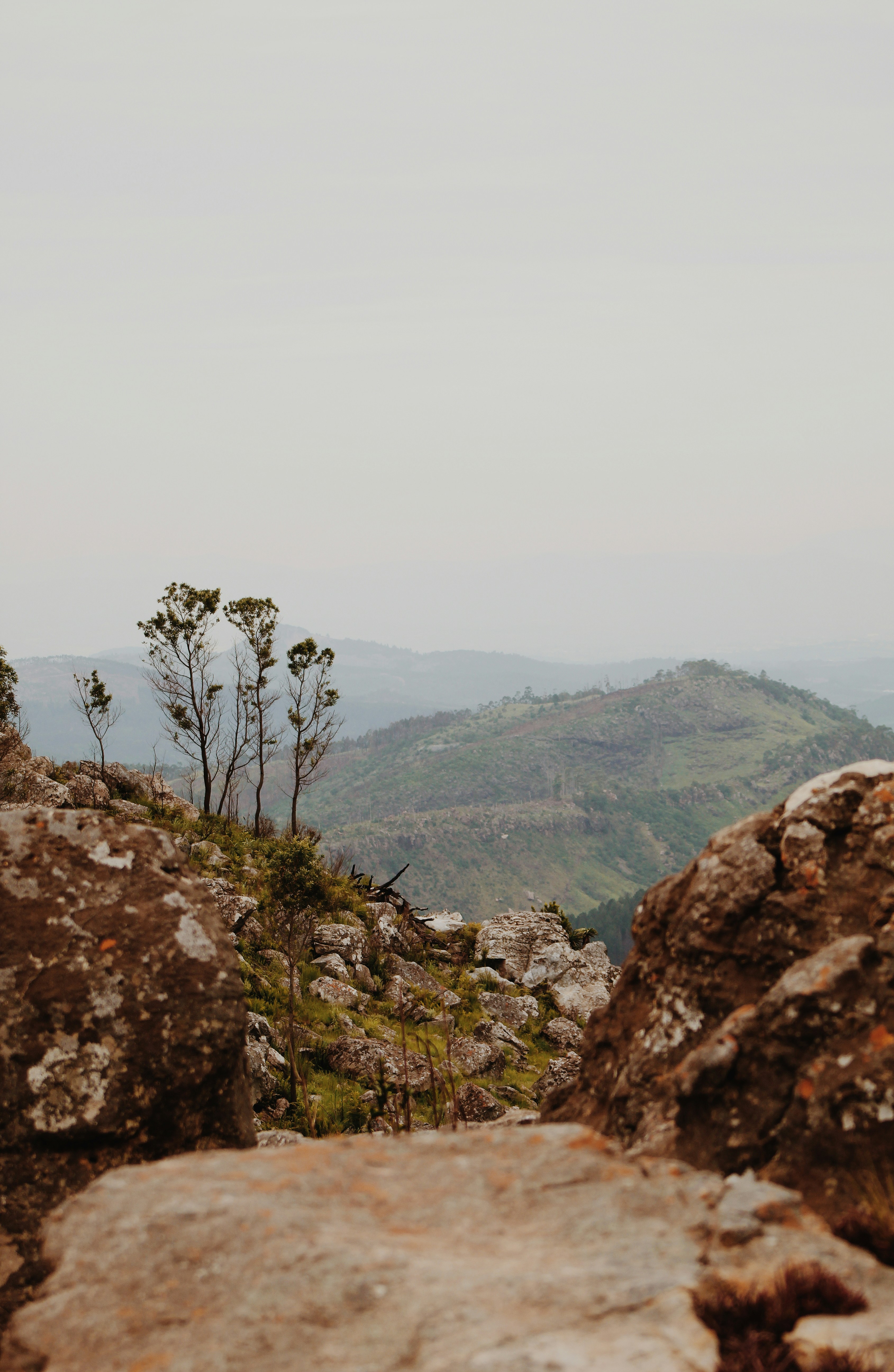 Photo by lyriccpeter