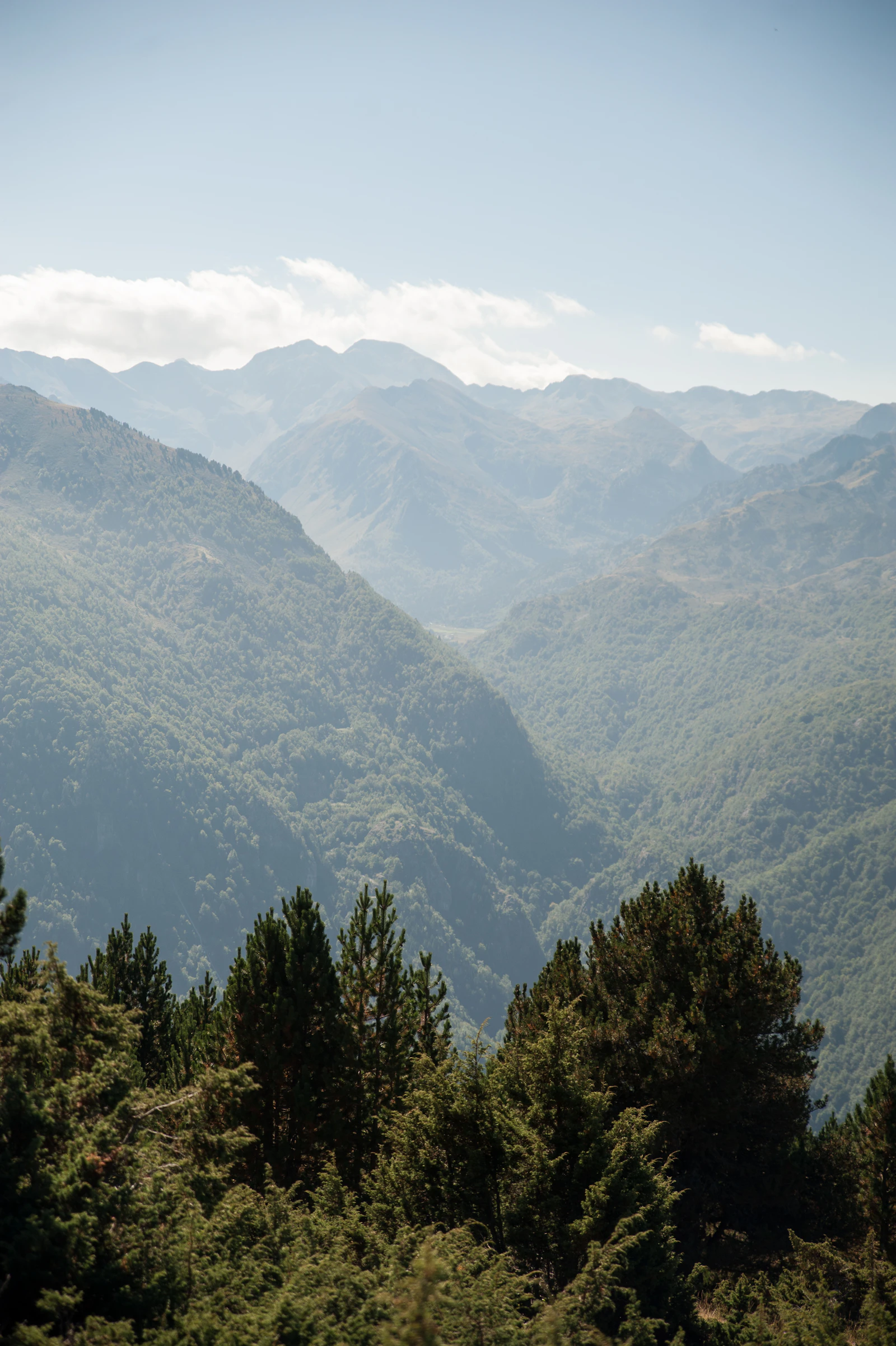 Green mountains along the Pyrenean crest