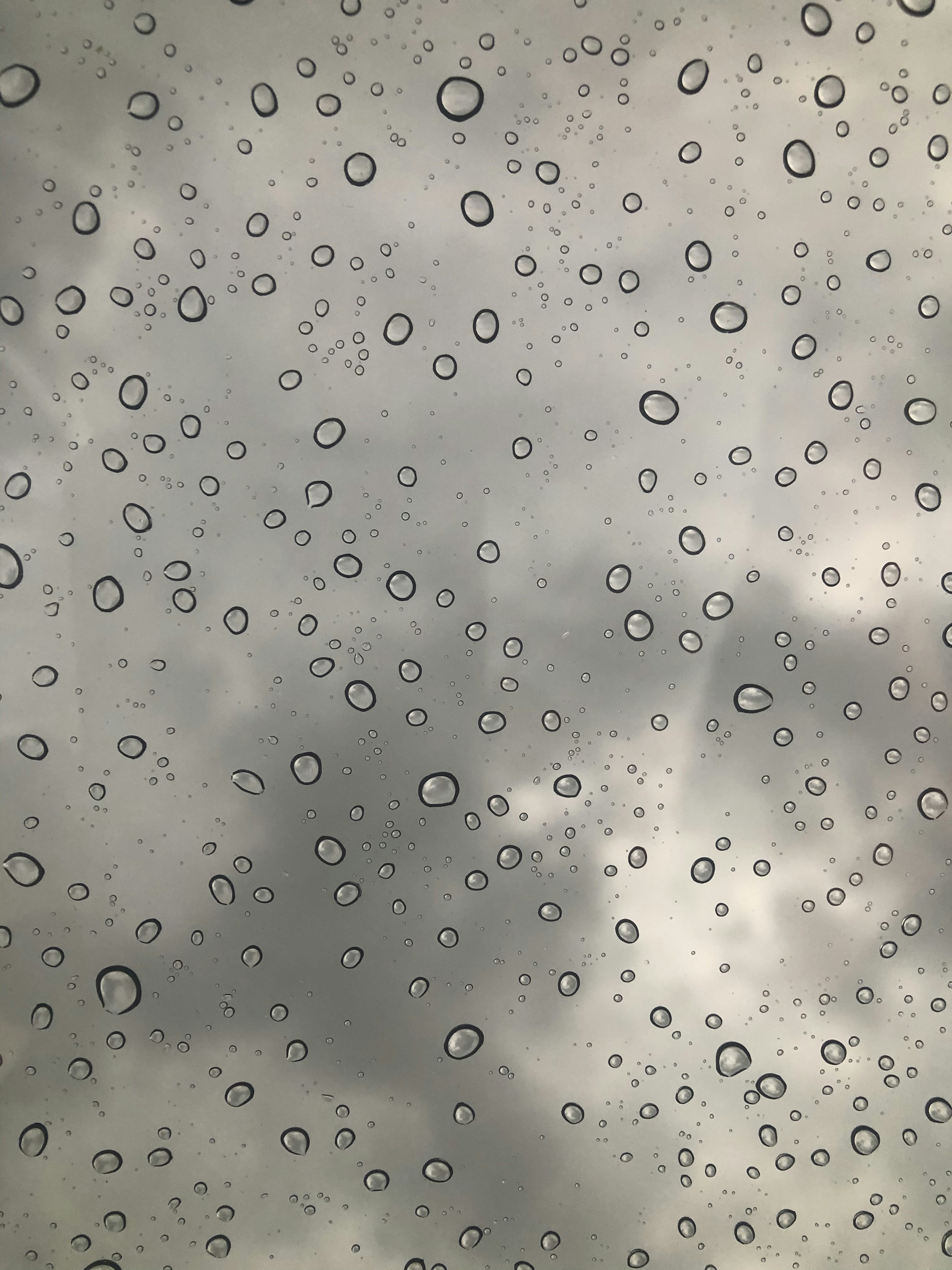 Photo by joyfulcaptures