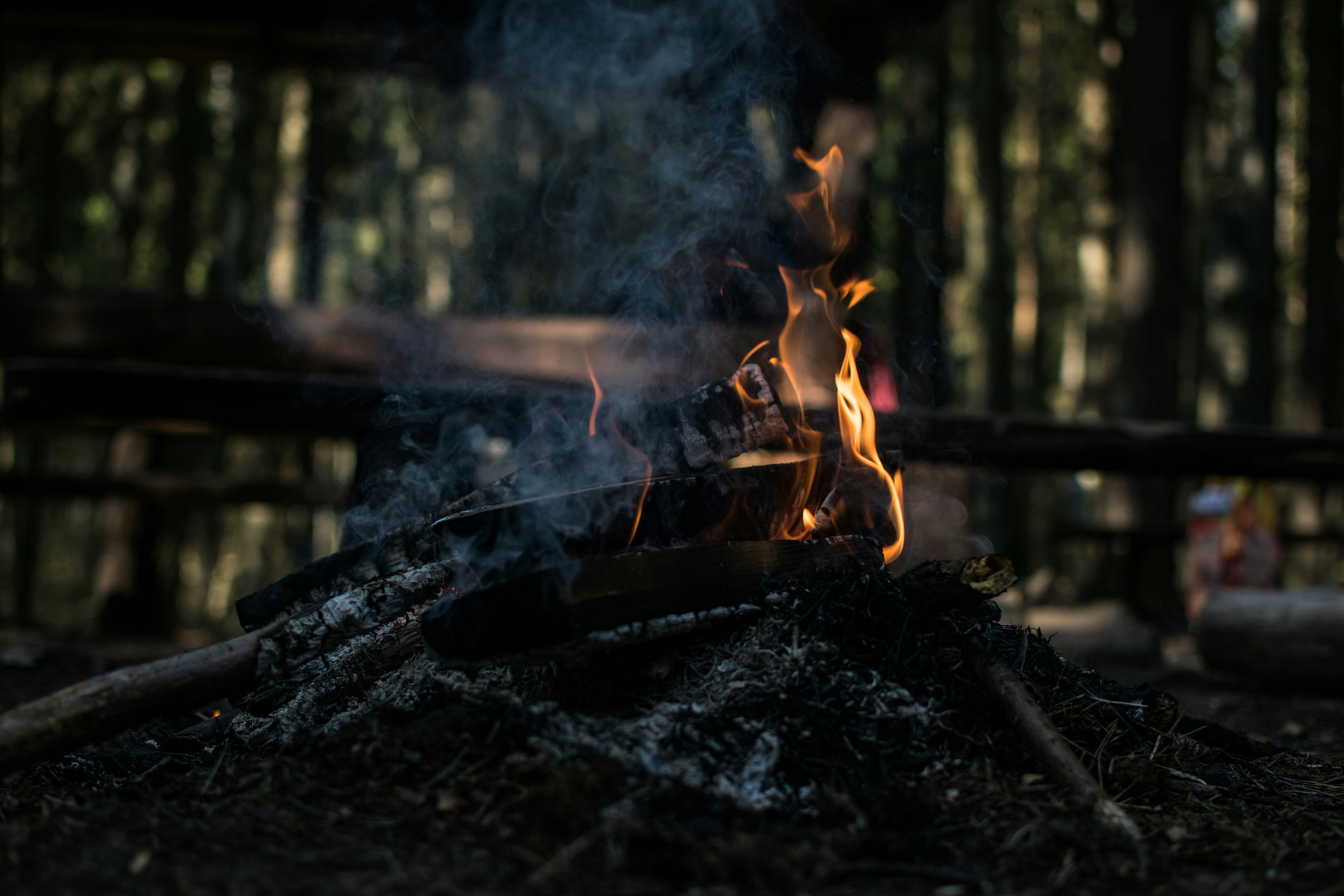Campfire sparks night forest, rubbing wood fire friction, flint steel sparks close-up, survivalist tinder bundle fire., ilustrasi artikel Igniting the Wild: Master the Art of Starting a Campfire Without Matches 4