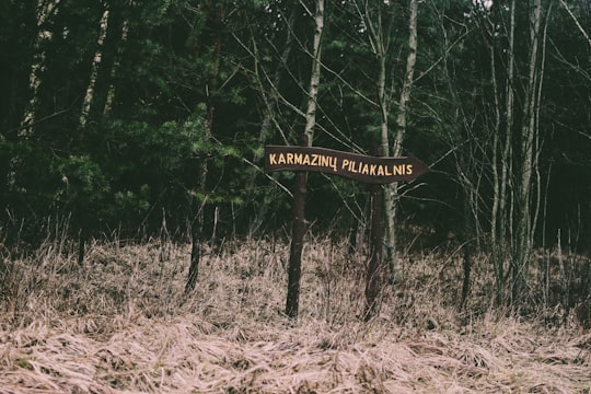 brown and black wooden signage surrounded by green trees during daytime in Karmazinai Lithuania