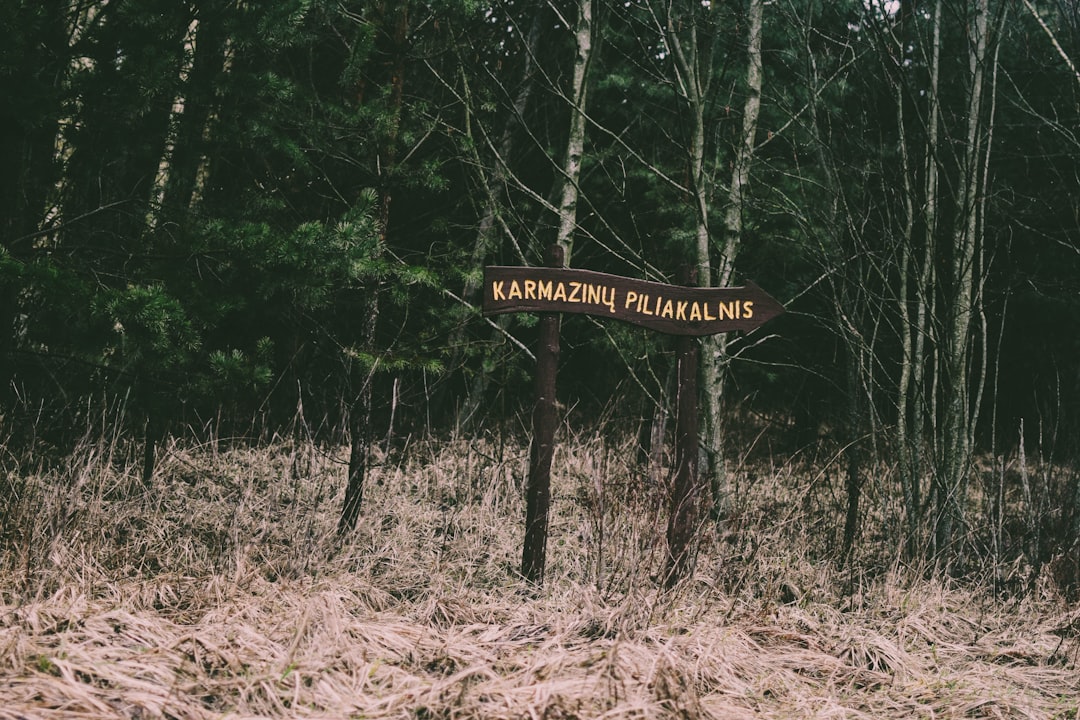 travelers stories about Forest in Karmazinai, Lithuania