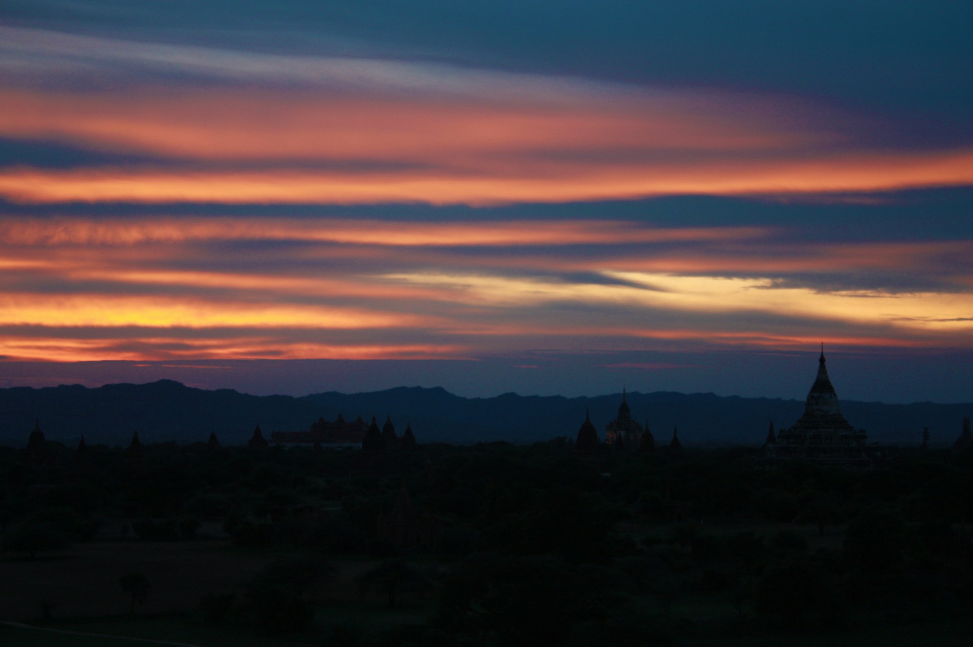 silhouette of trees during sunset