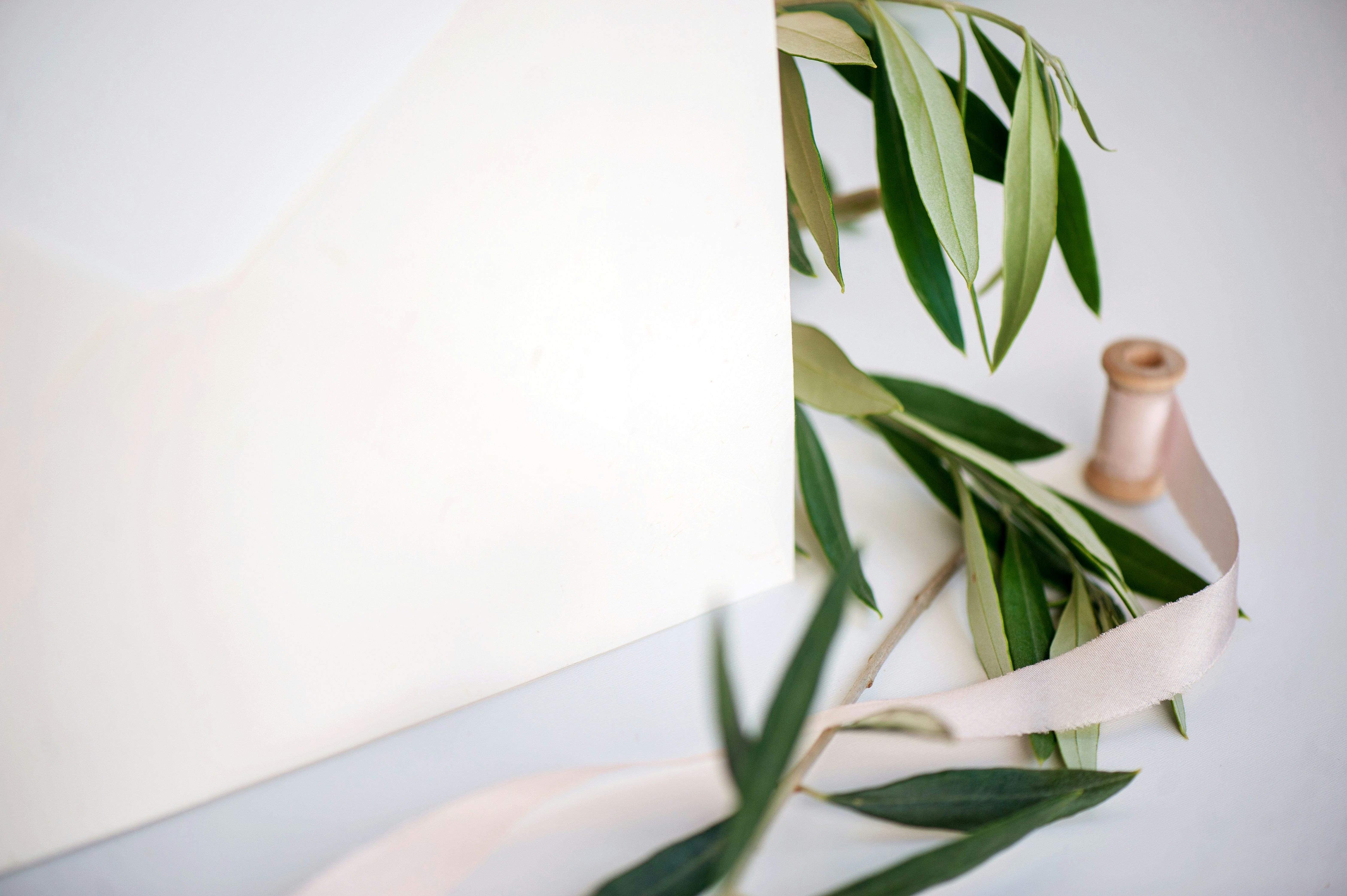 Wedding stationary, olive, silk ribbon