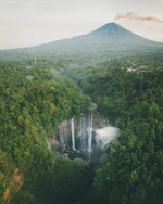 green trees near mountain during daytime