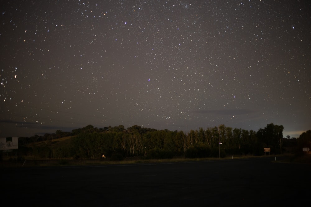 green trees under starry night