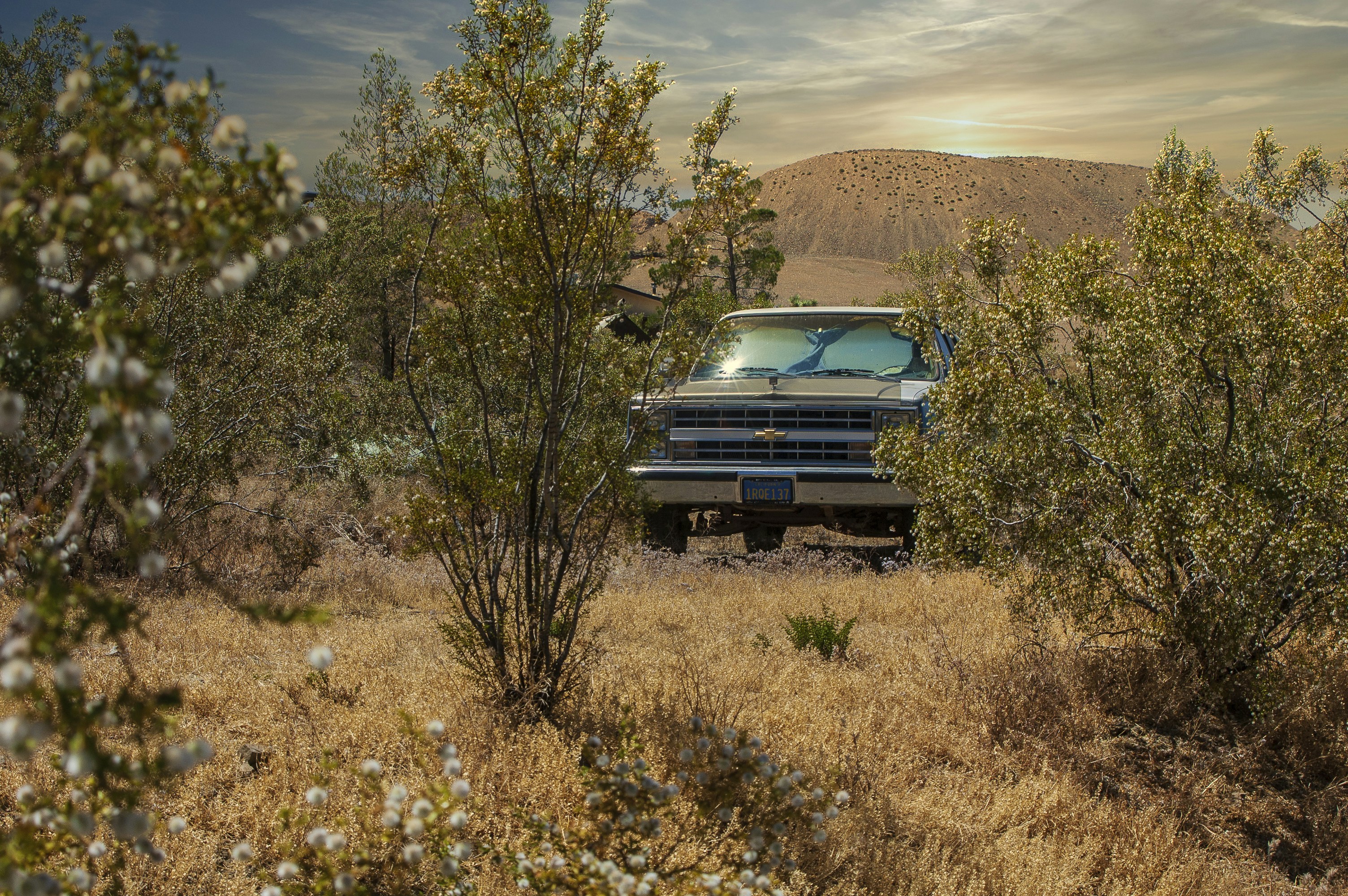 Photo by brianwangenheim