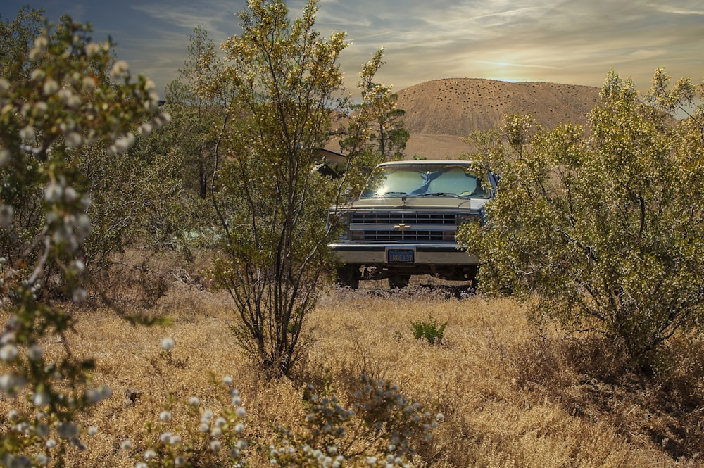 white car on brown grass field during daytime