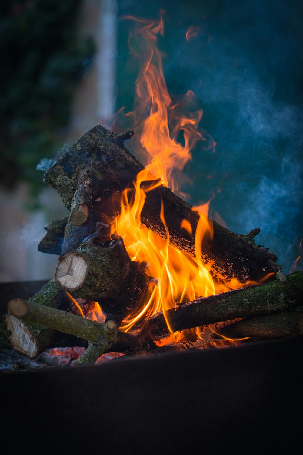 burning wood on fire pit