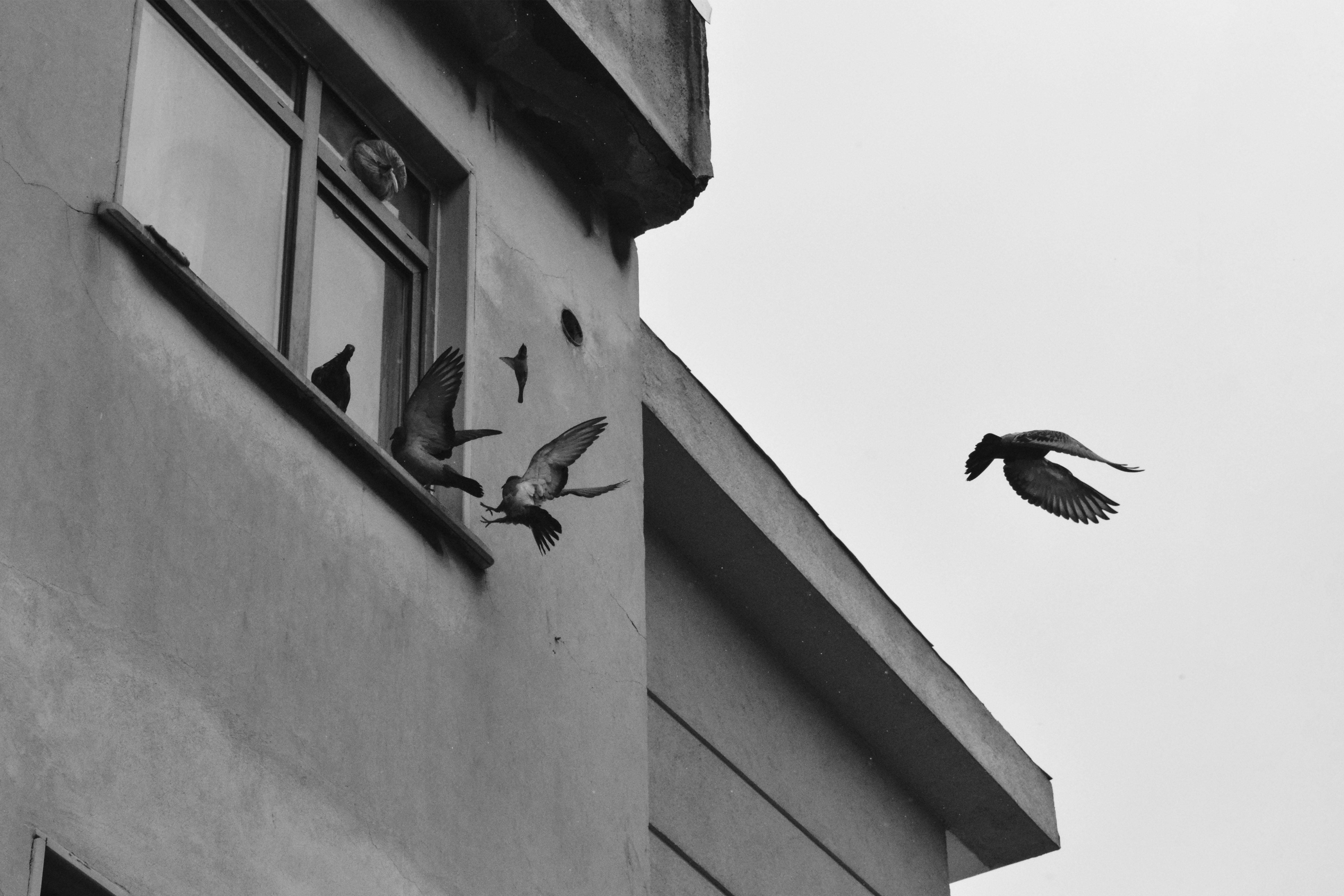 Photo by nuhenes