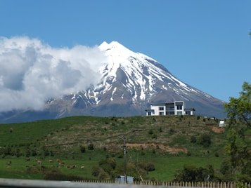 A picturesque snow-capped mountain rises prominently in the background, with a modern house situated on a lush green hillside in the foreground. Cattle are grazing on the expansive grassland that covers the hillside. Clouds partially obscure the peak of the mountain, adding to the serene and natural setting.