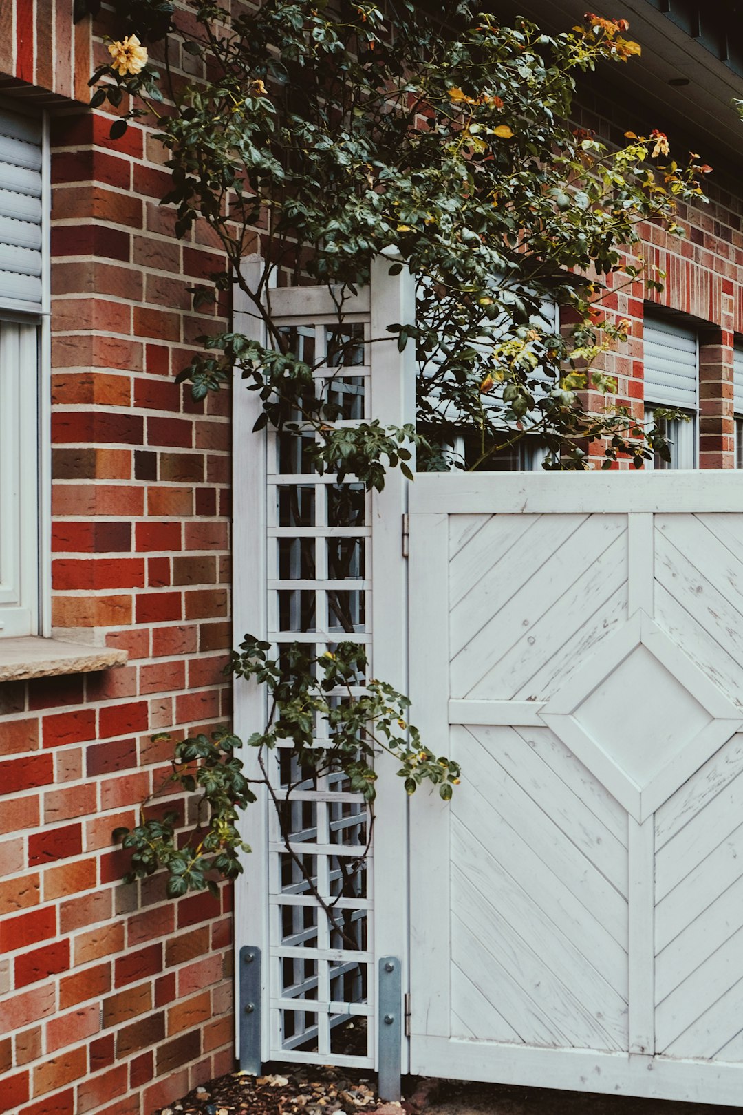 white wooden door with green plant