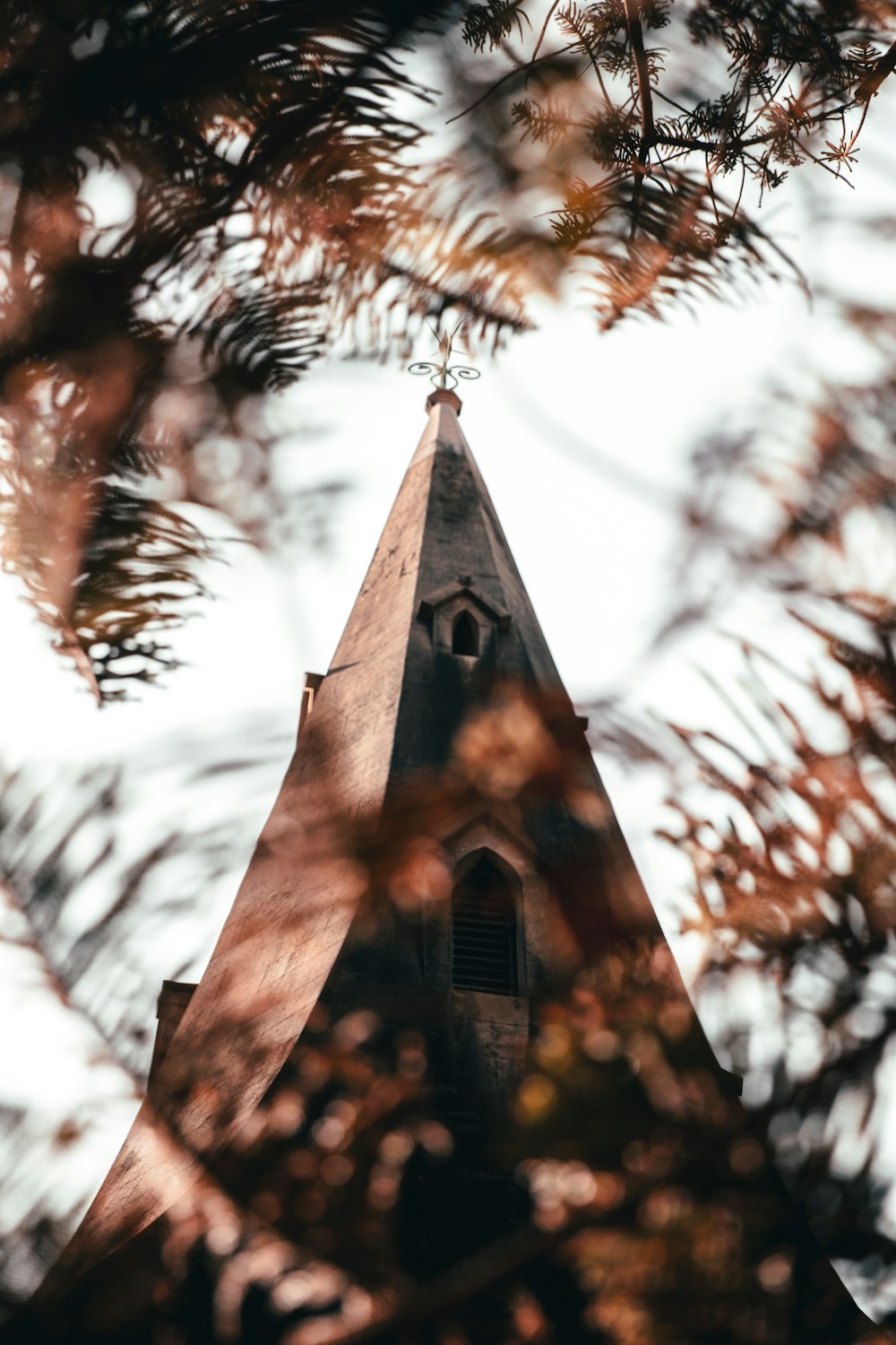 brown concrete church near green trees during daytime