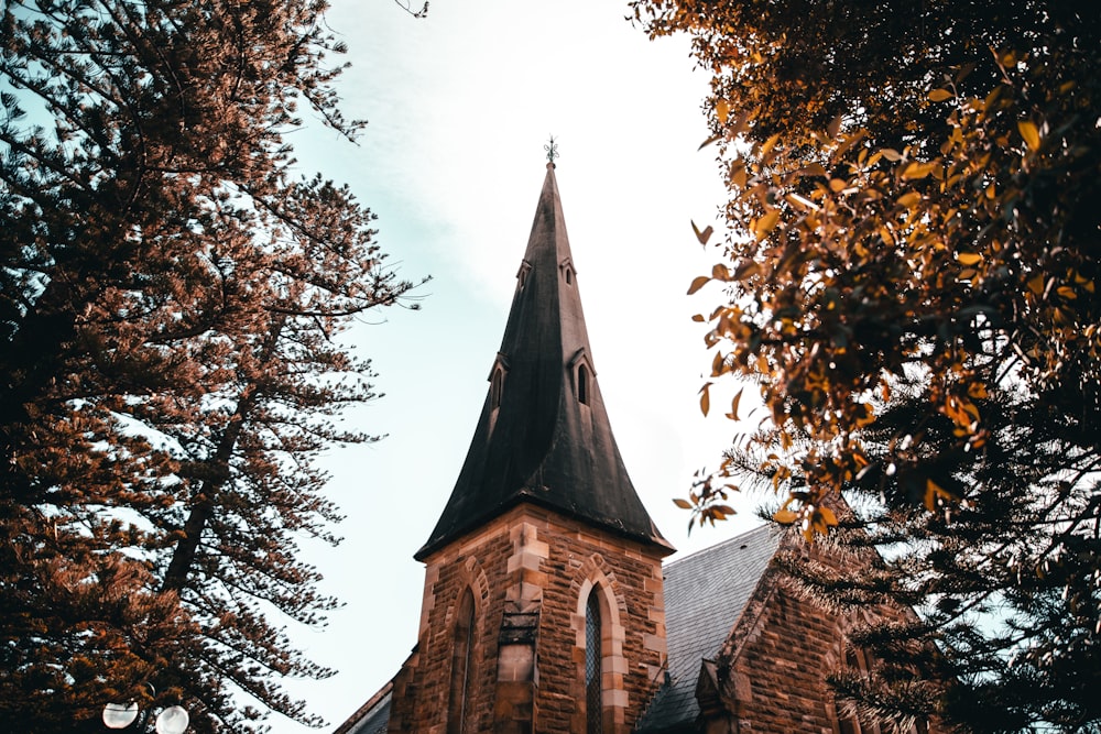 Iglesia de hormigón marrón y negro