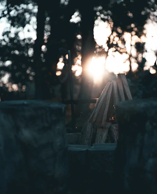 Stacked firewood with golden sunlight filtering through nearby trees.