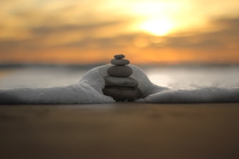 brown stone on gray sand during sunset