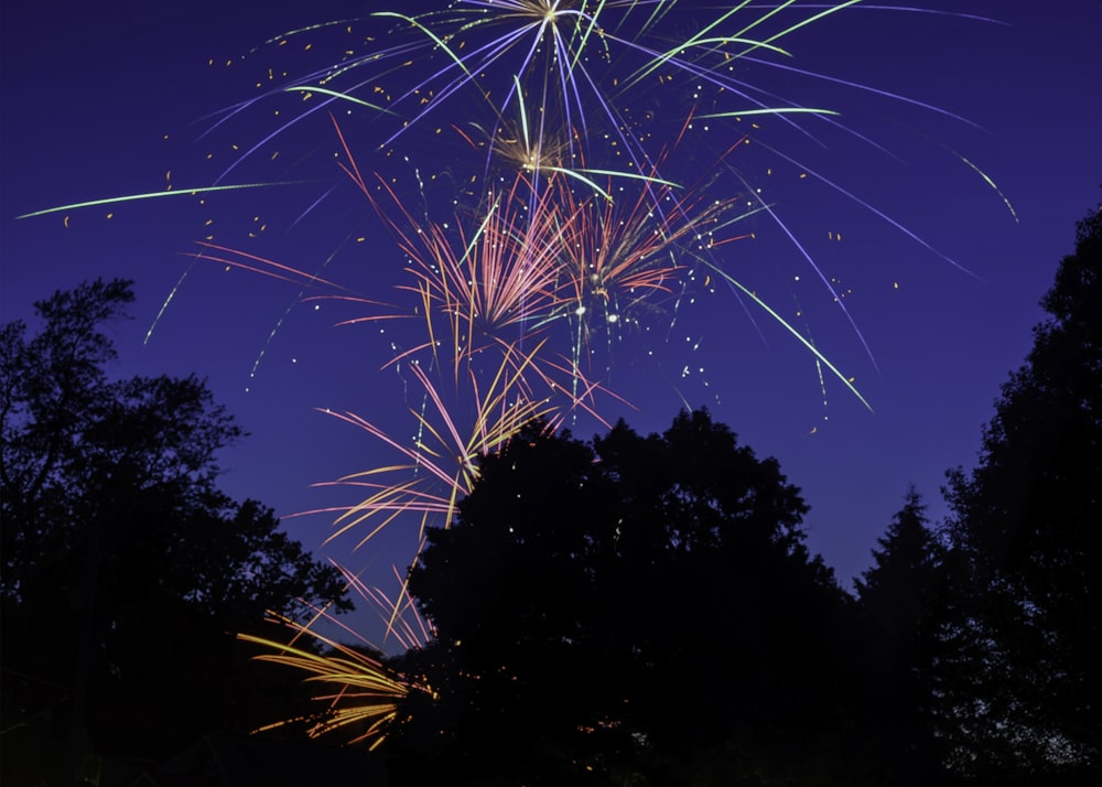 white and blue fireworks during night time