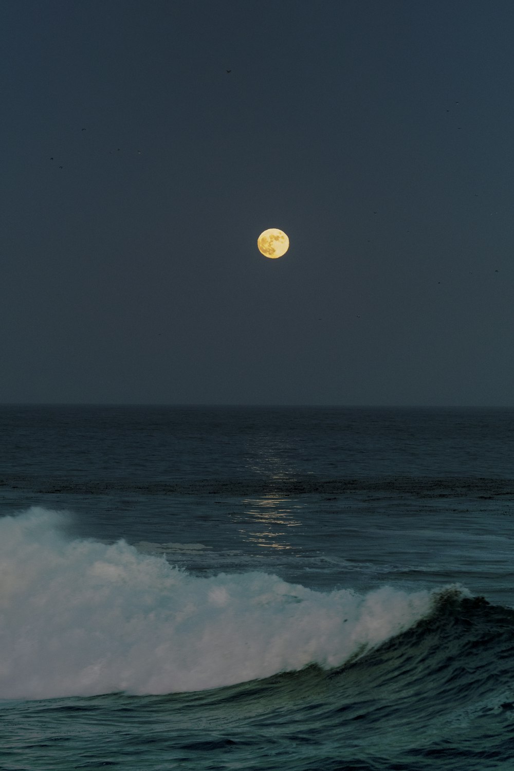 full moon over the ocean