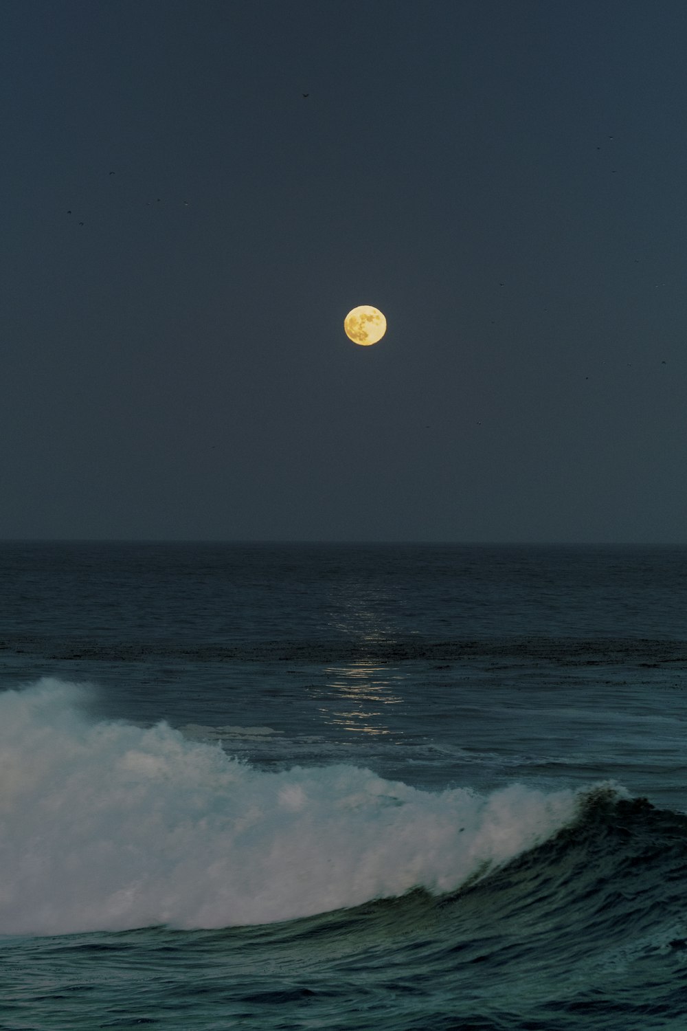 Luna piena sull'oceano