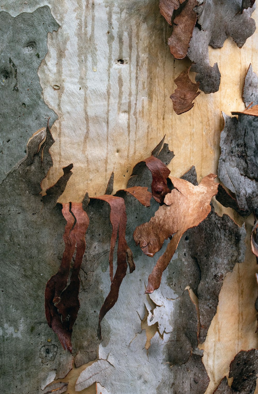 madeira castanha e branca com furo