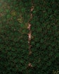 green and black floral textile