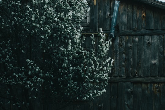 blue bicycle leaning on brown wooden fence in Sevan Armenia