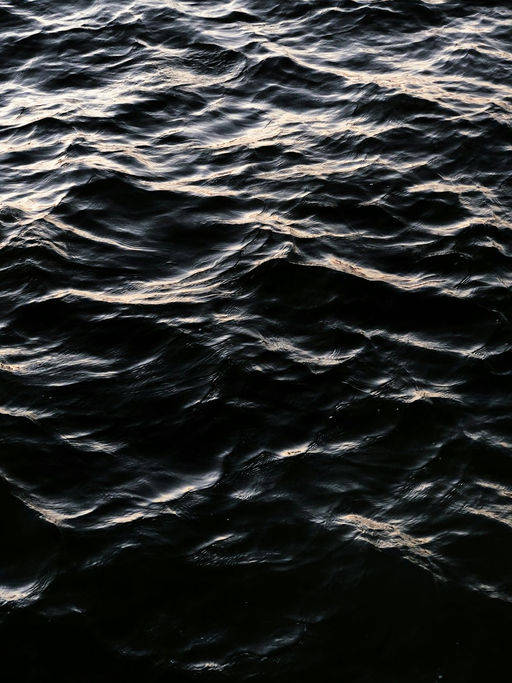 body of water during daytime