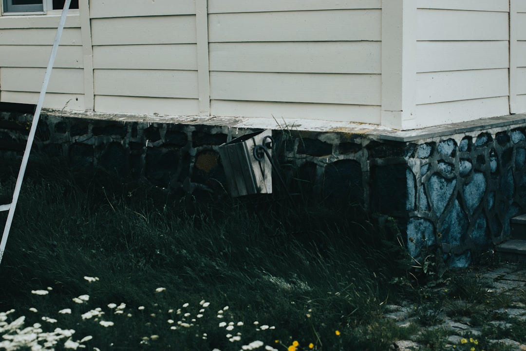 white wooden wall near green grass