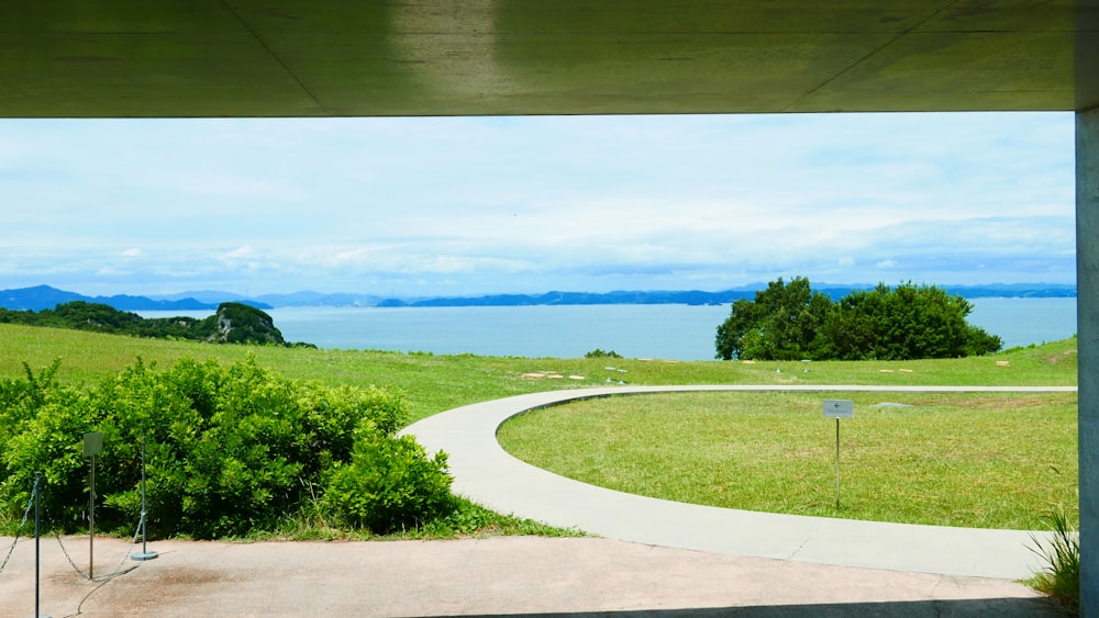 green grass field near body of water during daytime