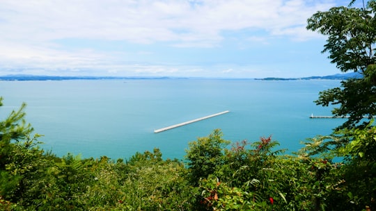 green trees near body of water during daytime in Teshima Japan