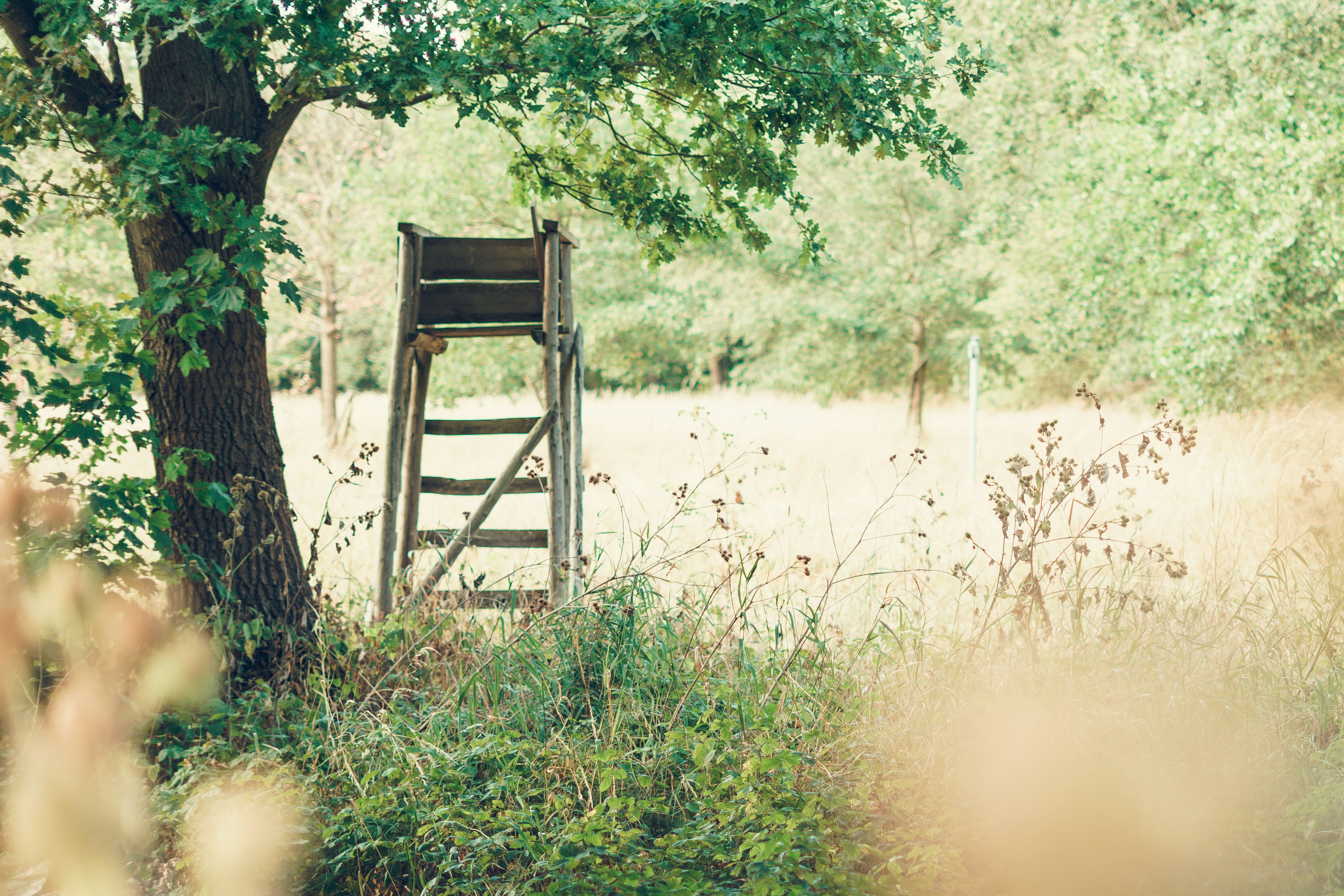 Photo by juliamendrok