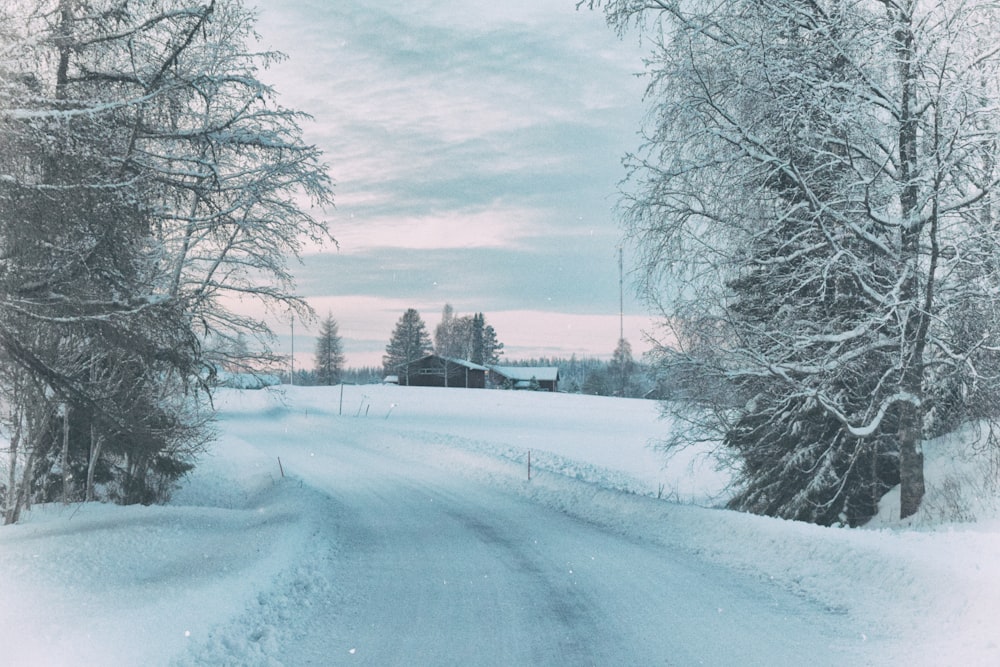 snow covered road between bare trees under cloudy sky during daytime