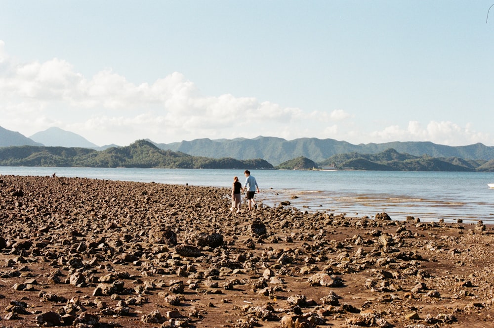 people walking on beach during daytime